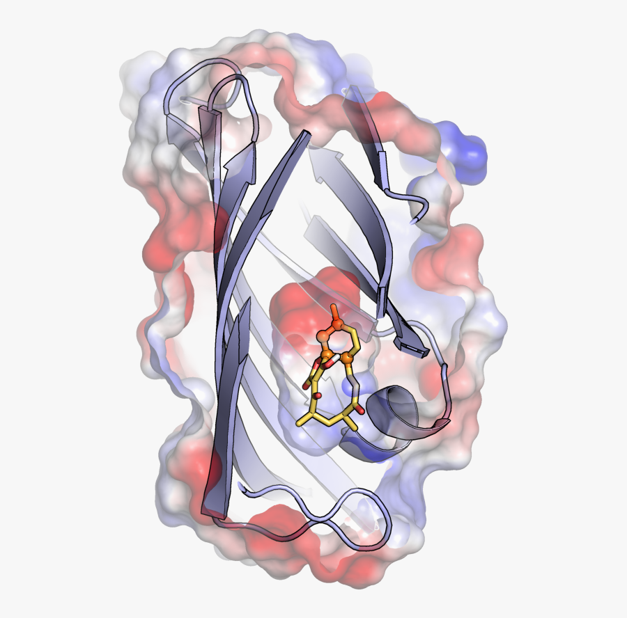 An Enzyme Enigma Discovered In The Abyss - Illustration, Transparent Clipart
