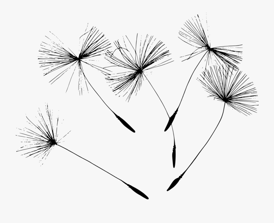 34+ Free Dandelion Svg Download Images Free SVG files | Silhouette and