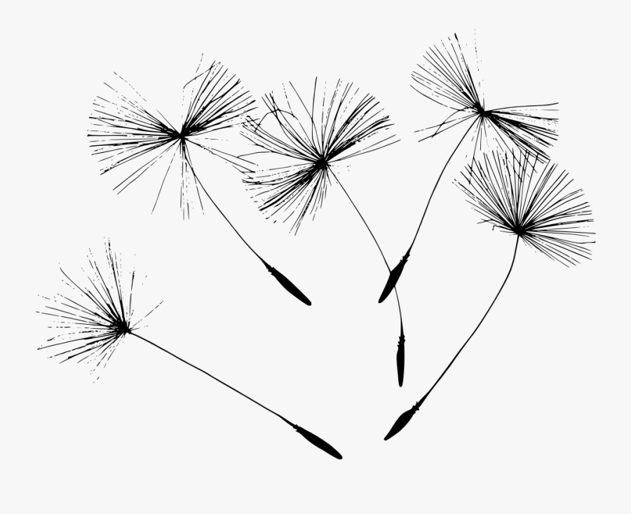 Download 34+ Free Dandelion Svg Download Images Free SVG files ...