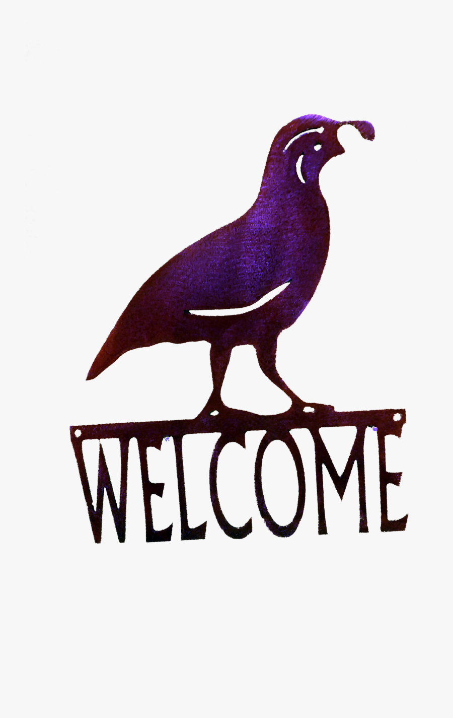 Transparent Quail Clipart - Cartoon, Transparent Clipart