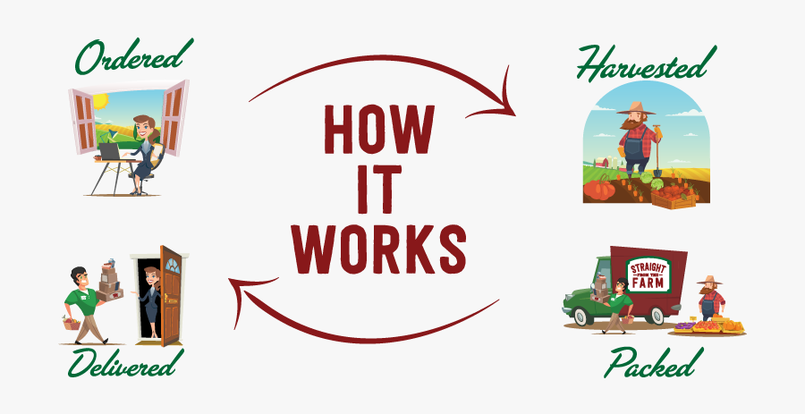 Straight From The Farm - Cartoon, Transparent Clipart