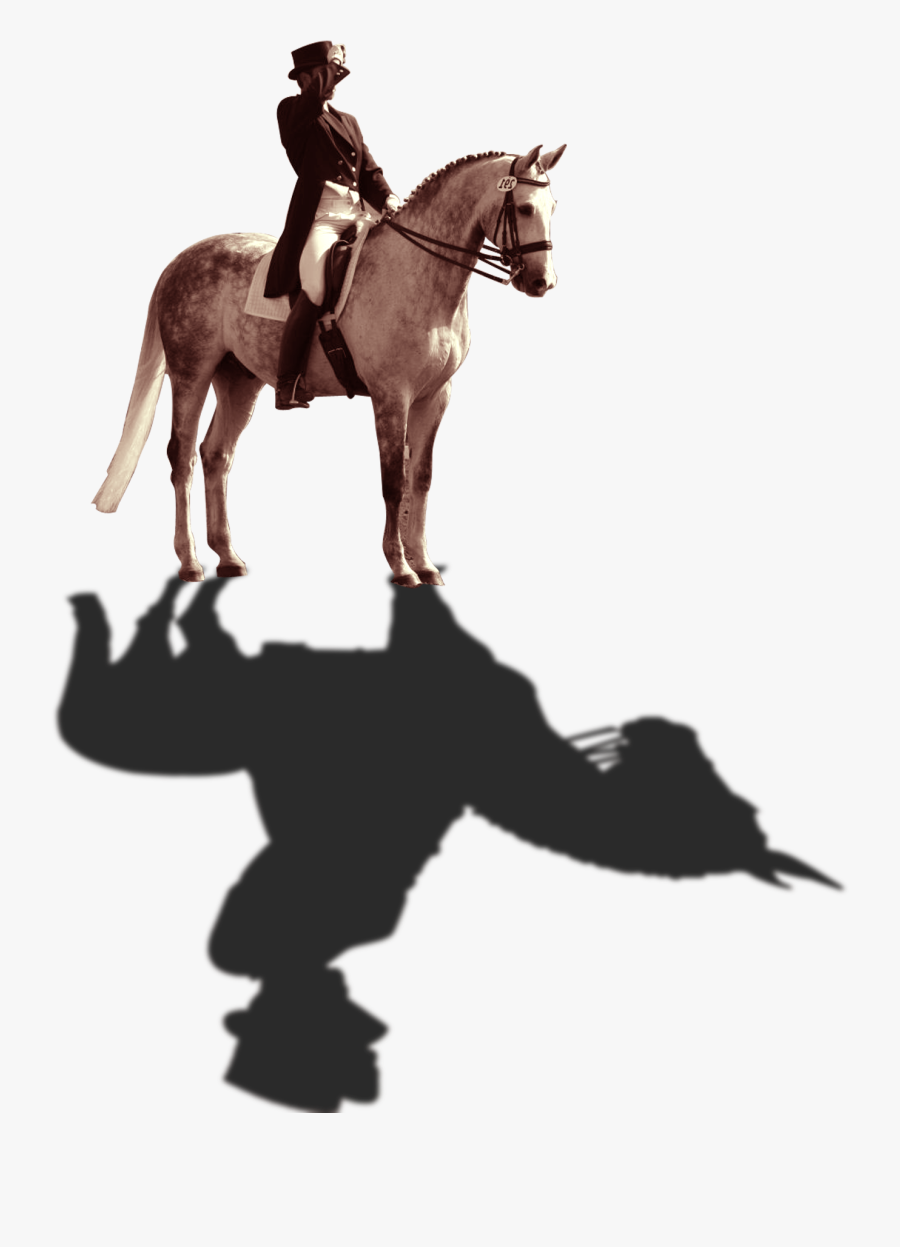 Knight Riding A Horse - Knight Horse Png, Transparent Clipart