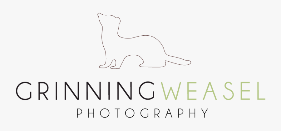 Line Art, Transparent Clipart