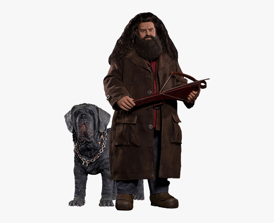 Rubeus Hagrid With Fang 1/6th Scale Action Figure - Hagrid Harry Potter Png, Transparent Clipart