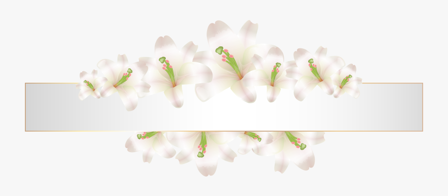 Soft Deco Banner With Flowers Png Clip Art - White Flowers Banner Png, Transparent Clipart