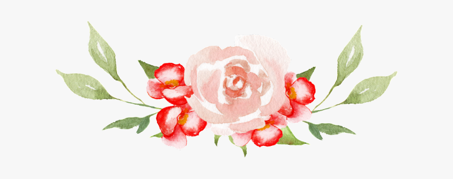 Botanical Vector Baby"s Breath - Flores Png Transparente, Transparent Clipart