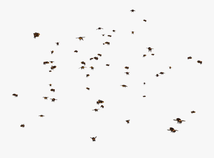 Transparent Swarm Clipart - Transparent Swarm Of Bees, Transparent Clipart