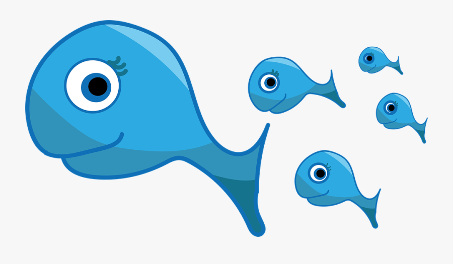 Fish, Swarm, Graphic, Swim, Together, Blue, Transparent Clipart