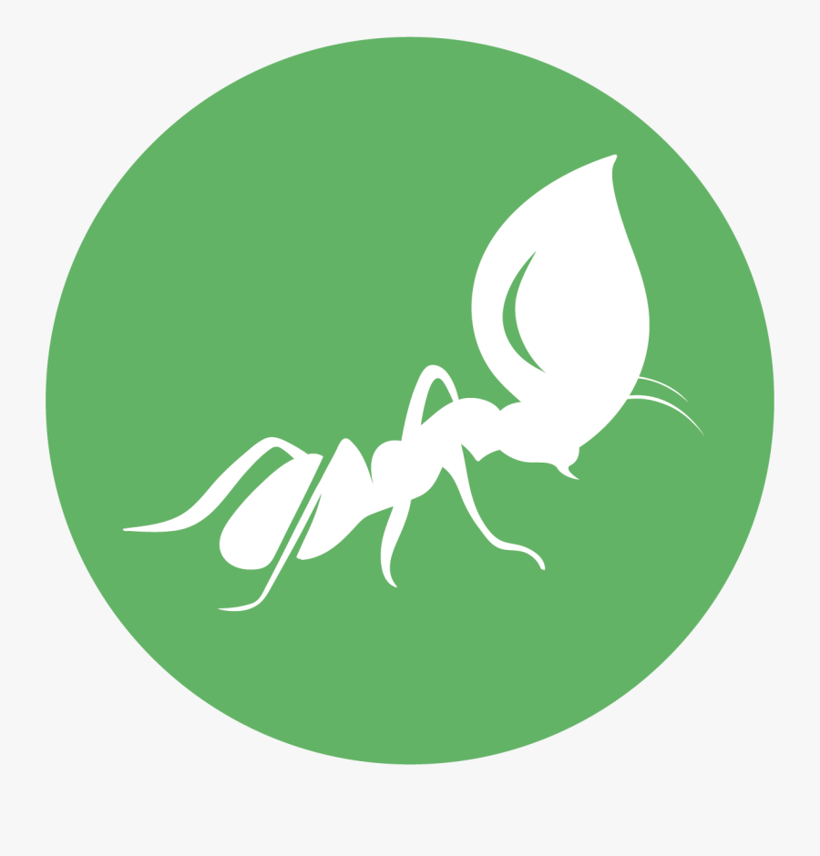 Illustration, Transparent Clipart