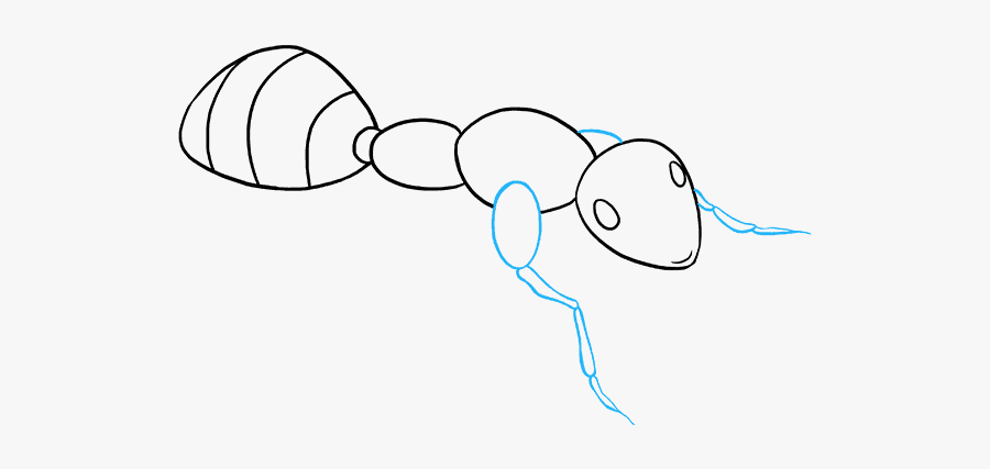 How To Draw Ant - Ant Drawing, Transparent Clipart