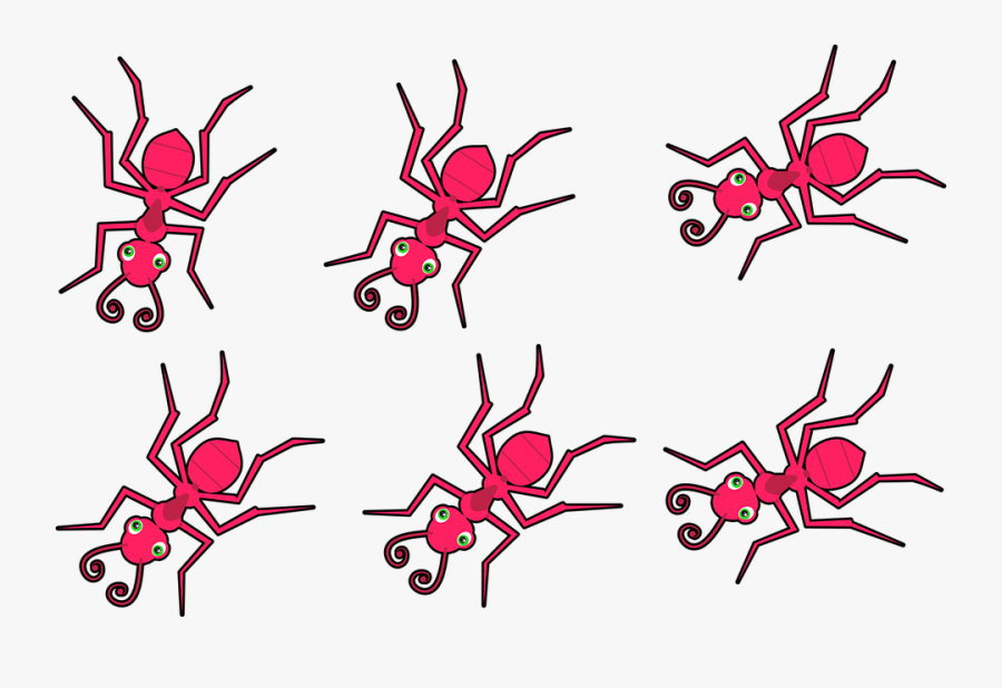 Ants, Insects, Red Ants, Animals, Wild, Wildlife - Imágenes De Hormigas Rojas, Transparent Clipart