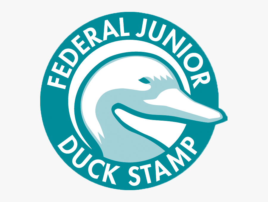 Jr Duck Stamp Logo"
 Class="img Responsive True Size - Junior Duck Stamp, Transparent Clipart