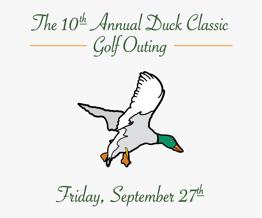 Duck, Transparent Clipart