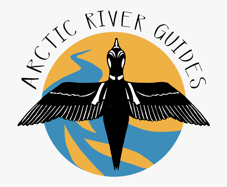 Harlequin-arctic River Guides Web - Illustration, Transparent Clipart