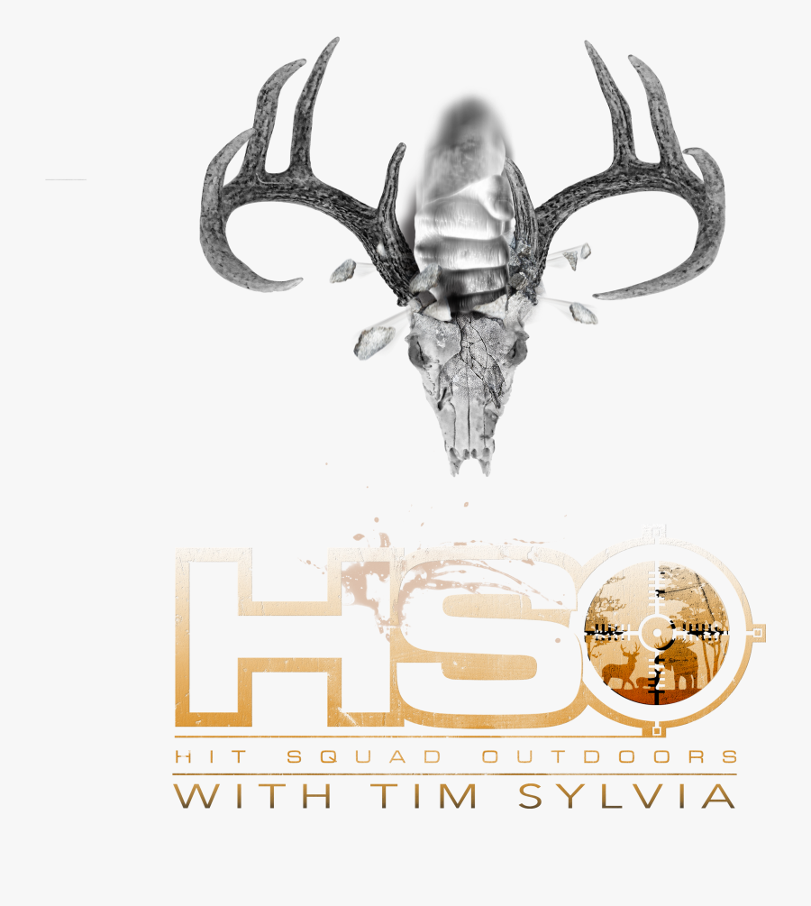 Transparent Animal Skull Png - Skull, Transparent Clipart