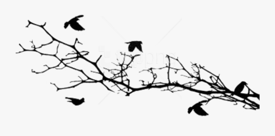 Download Silhouettes On A - Beautiful Tree Silhouette With Bird, Transparent Clipart