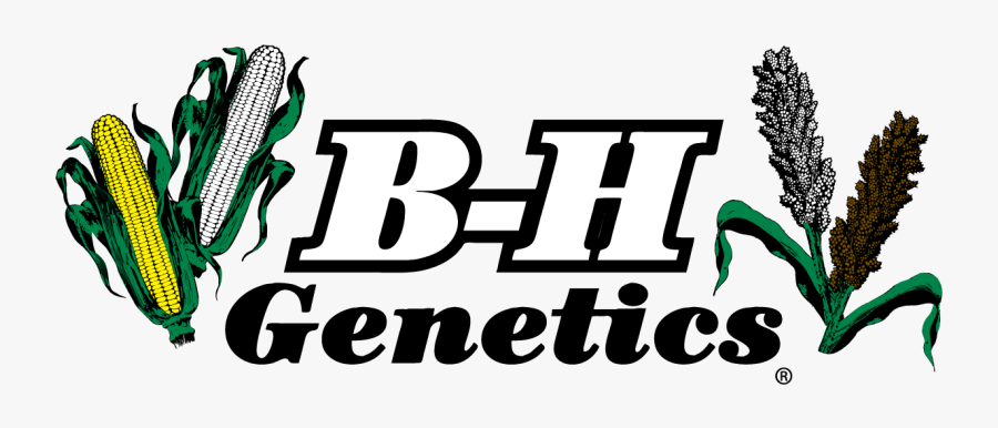 Bh Genetics, Transparent Clipart