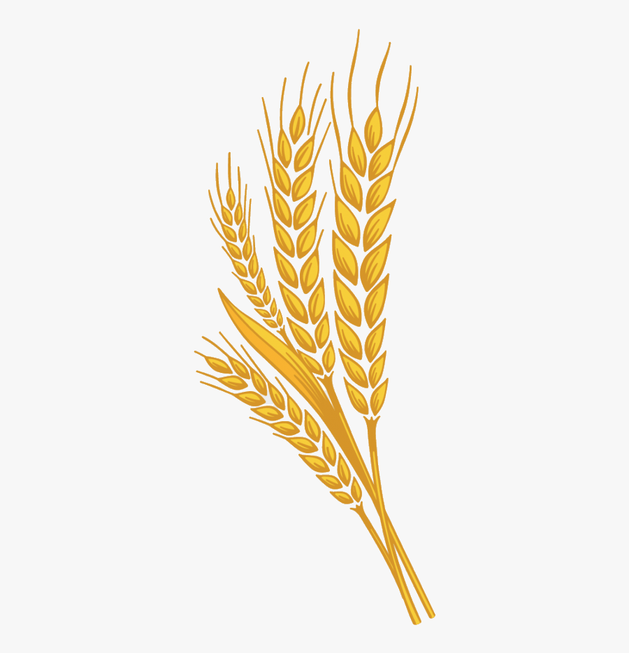 Wheat Clipart Photo Transparent Png - Clipart Wheat Png, Transparent Clipart