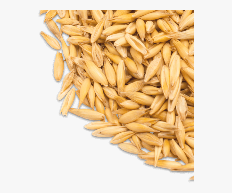 Grain Clipart Bushel Wheat - Whole Grain, Transparent Clipart