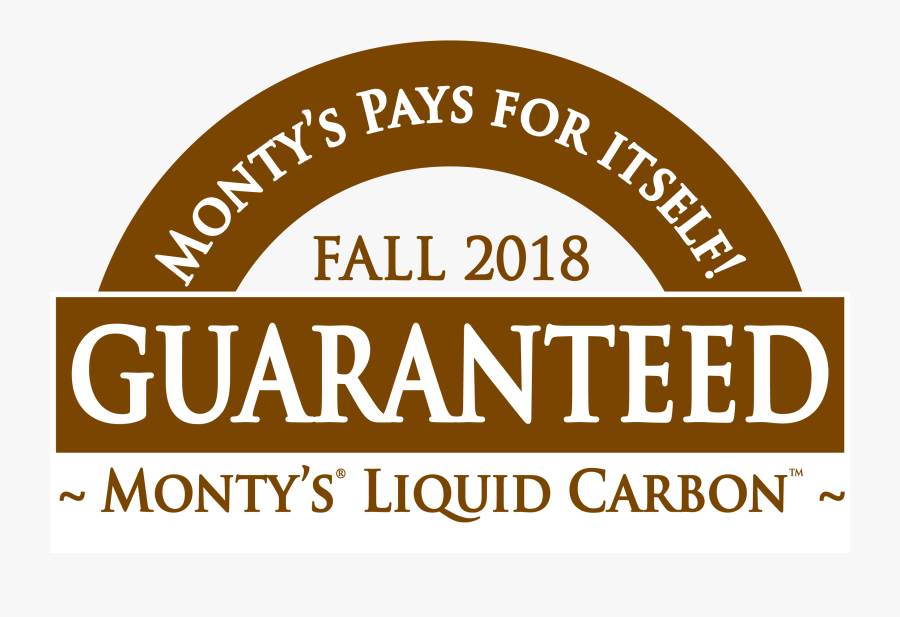 Circle, Transparent Clipart