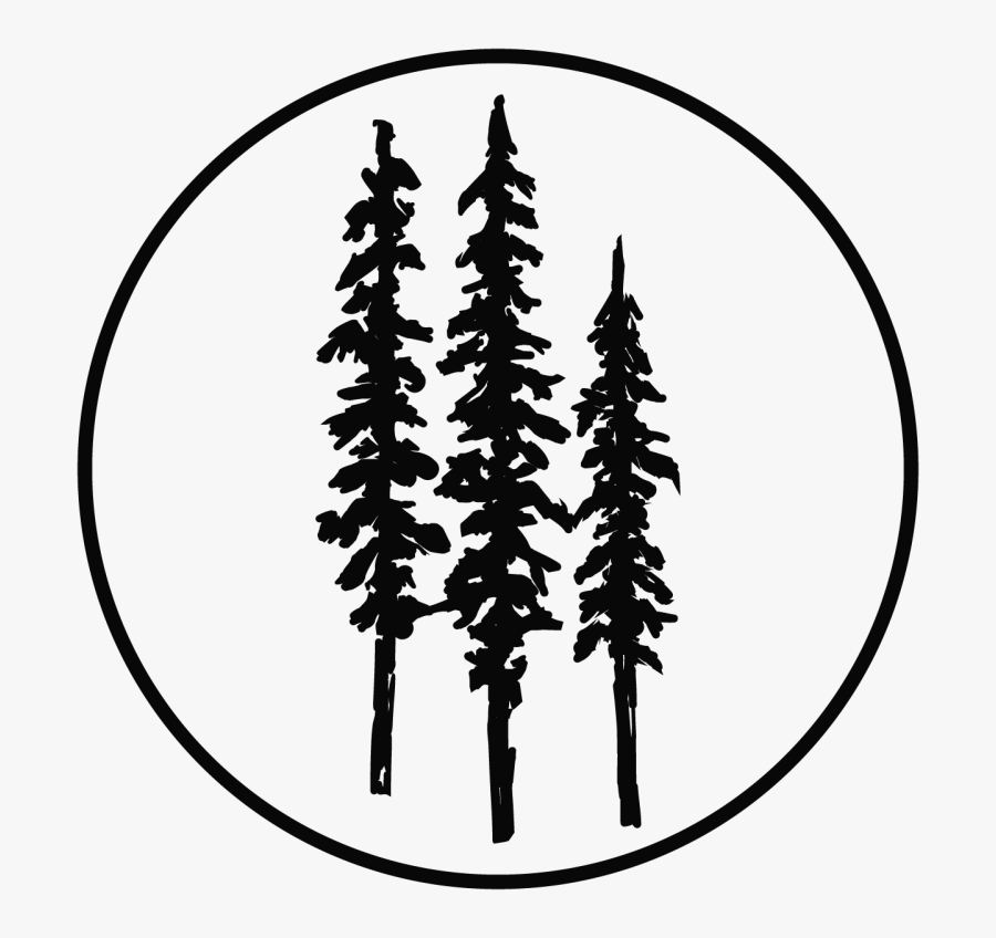 Spruce Redwood National And State Parks Coast Redwood - Red Wood Tree Clipart Black And White, Transparent Clipart