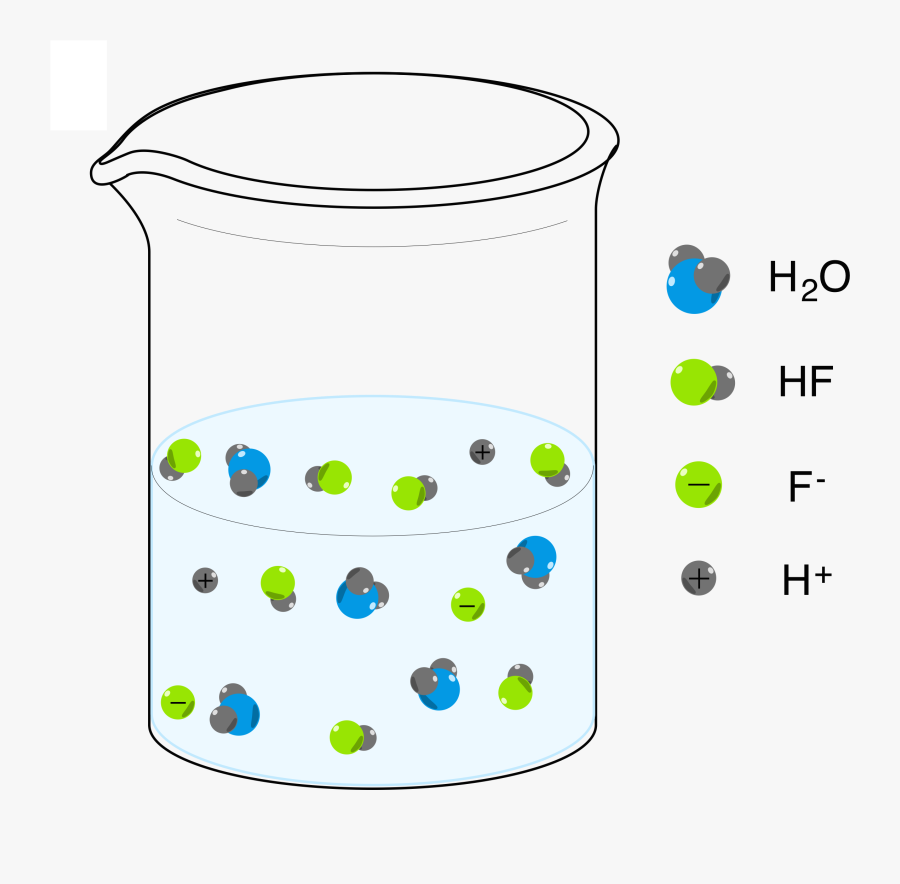 Circle, Transparent Clipart