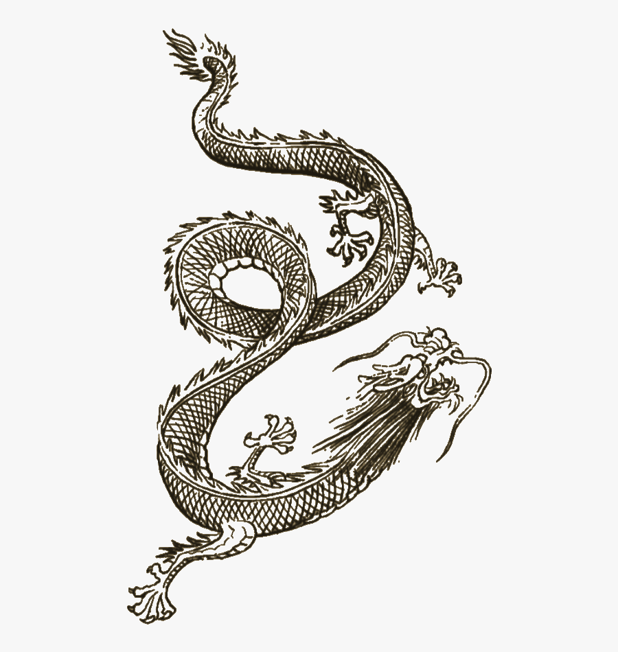 Transparent Oriental Dragon Clipart - Sleeping Dogs Dragon Tattoo, Transparent Clipart