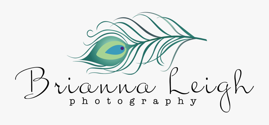 Peacock Feather Clip Art Free, Transparent Clipart