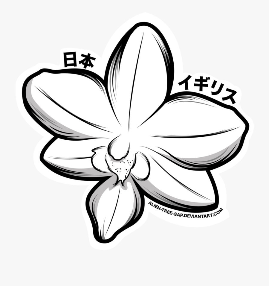 Orchid Clipart Black And White - Orchid Line Art Png Purple, Transparent Clipart