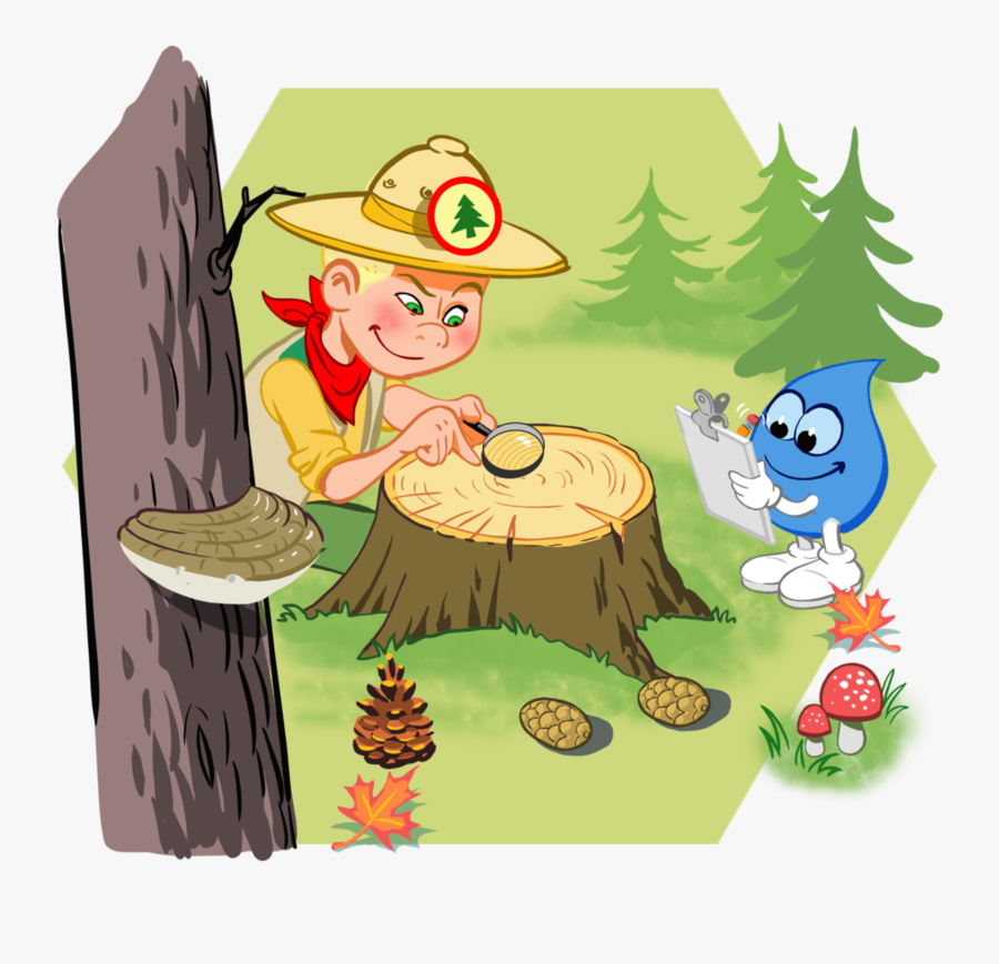 Cartoon, Transparent Clipart