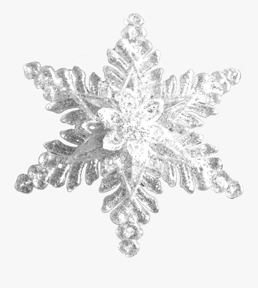 Floral Design, Transparent Clipart