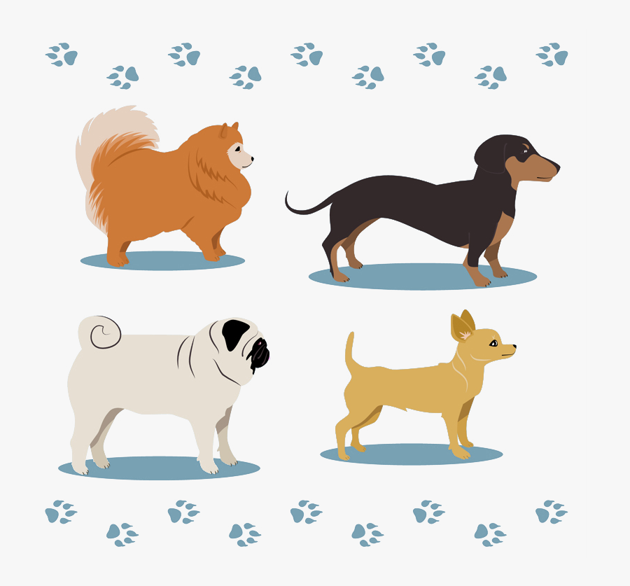 Shar Pei Miniature Pinscher Pomeranian Dachshund Pet - 狗 狗 素材, Transparent Clipart