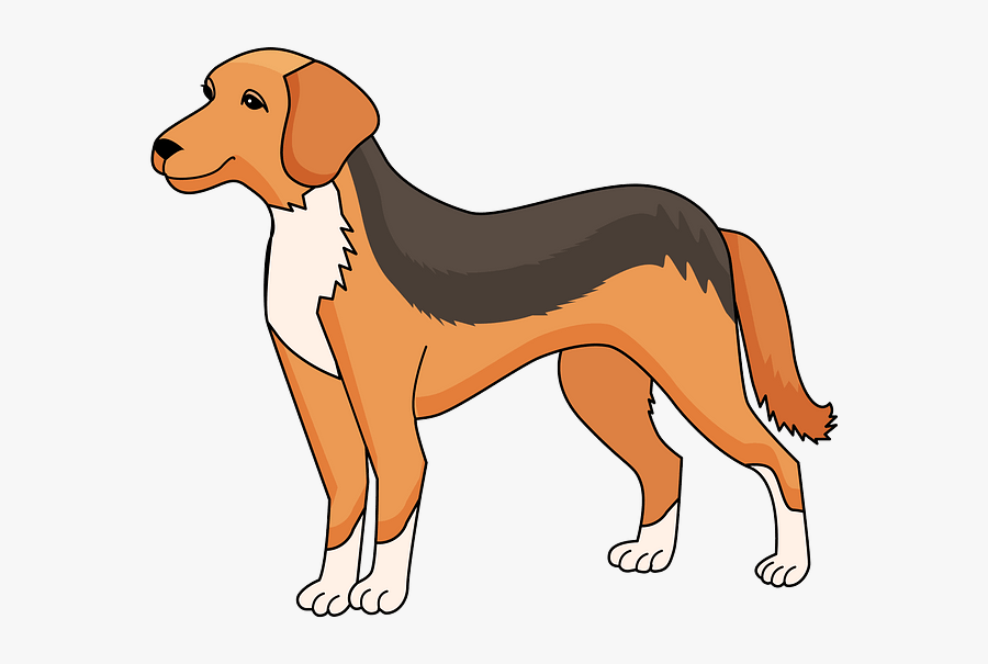 Harrier, Transparent Clipart