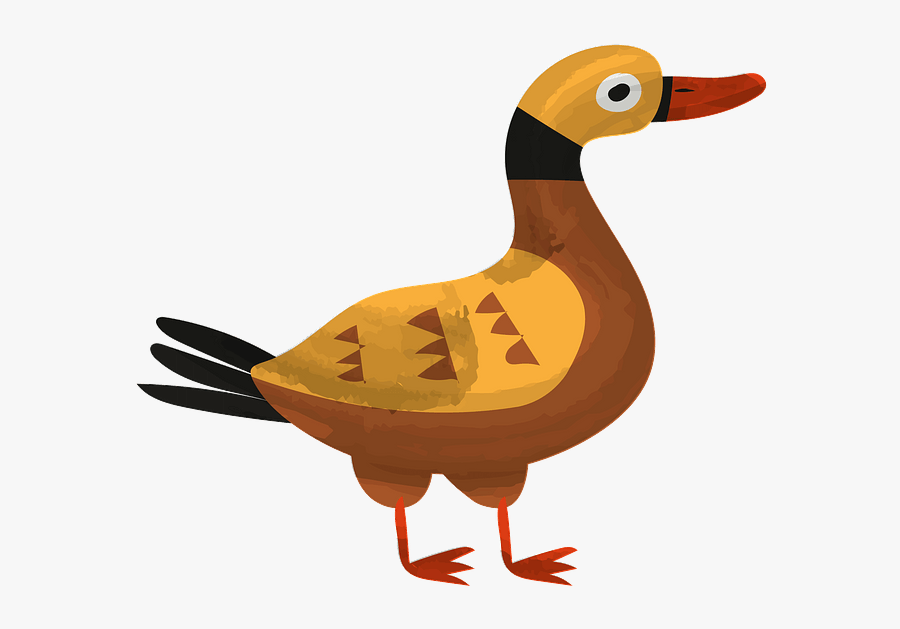 Duck, Transparent Clipart