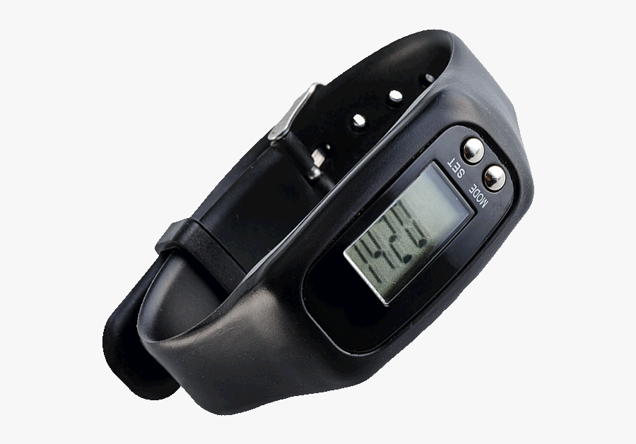 Strap, Transparent Clipart