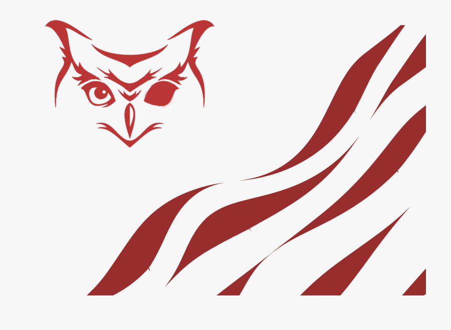 Simple Owl Head Drawing, Transparent Clipart