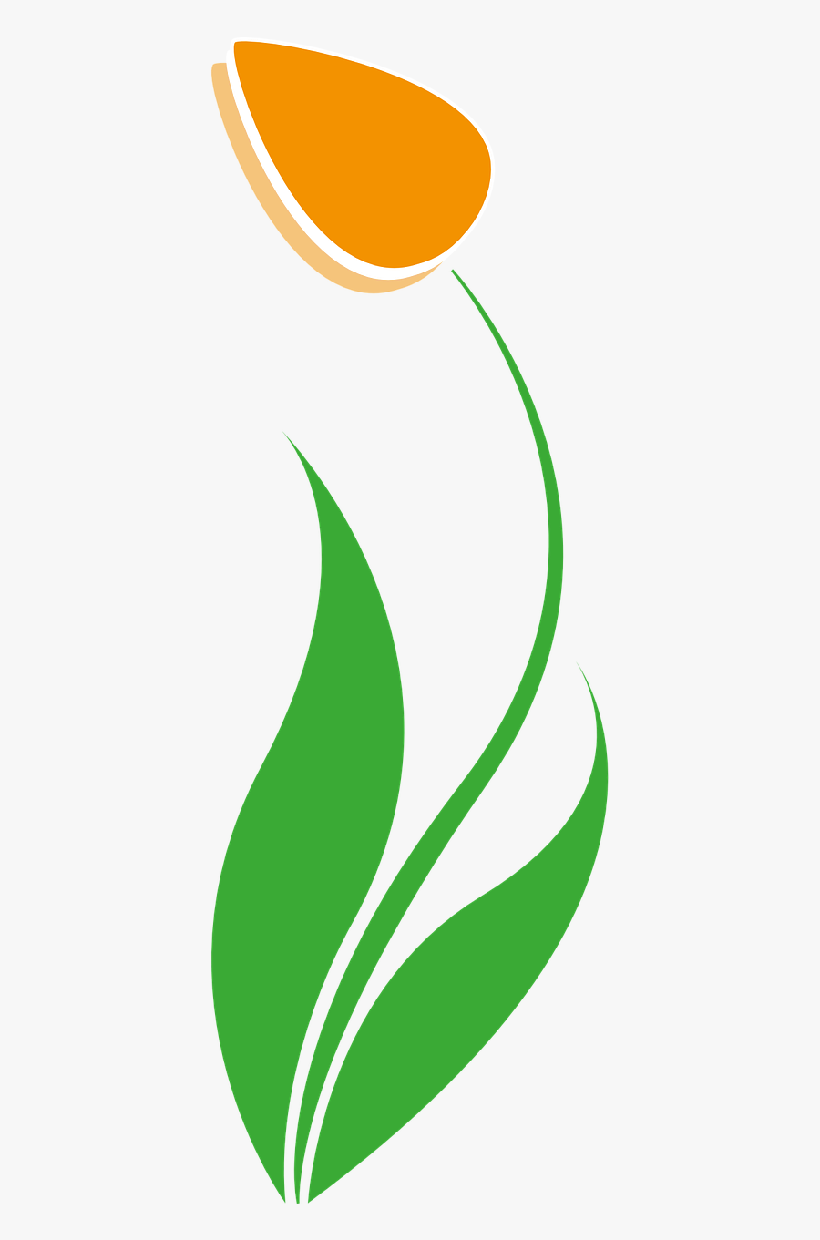 Tulip Spring Blossom Free Photo - Lale Çizim Png, Transparent Clipart