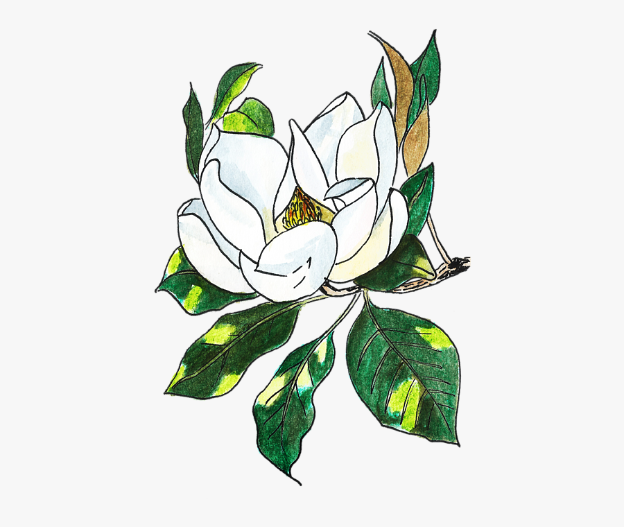 Flower Toddler T Shirt Featuring The Painting Magnolia - Floribunda, Transparent Clipart