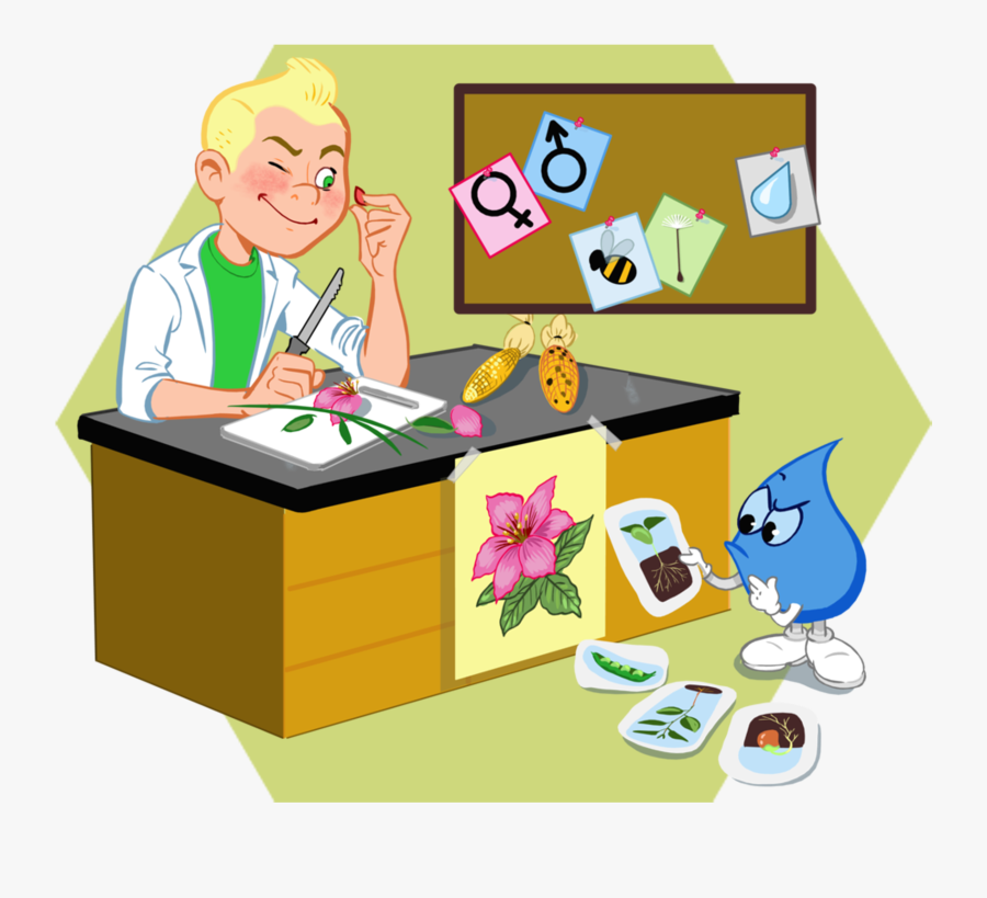 Cartoon, Transparent Clipart