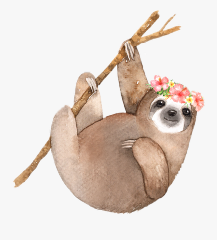 Sloth Clipart Watercolor - Sloth Invitations, Transparent Clipart