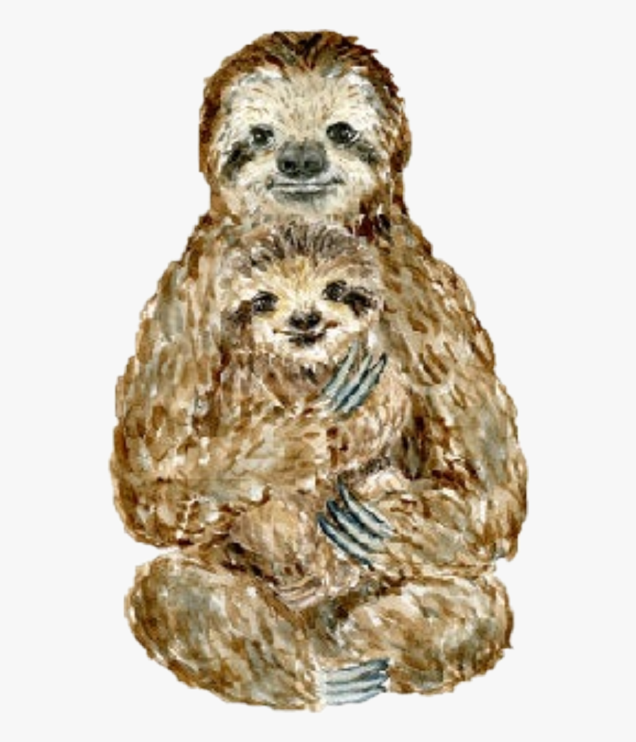 #watercolor #sloth #babysloth #mother #father #baby - Otter, Transparent Clipart
