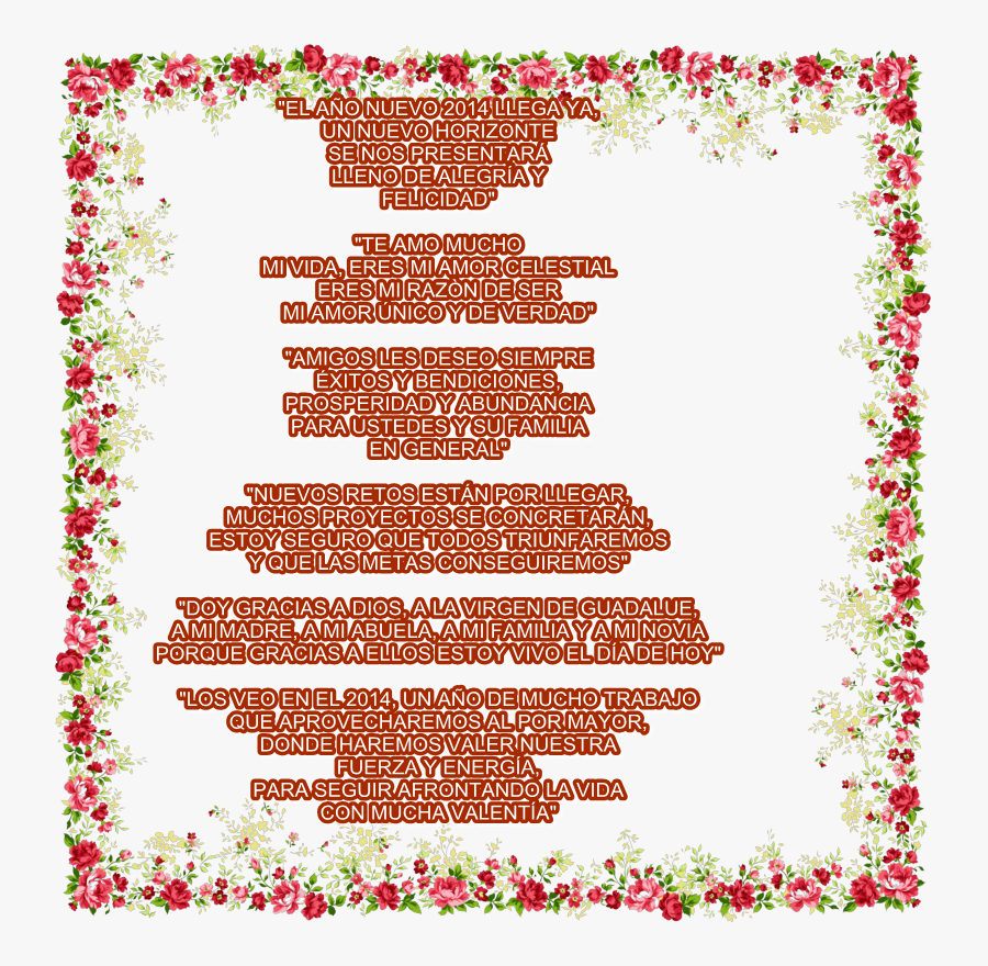 Feliz Año Nuevo 2014 Lupillo Times - Simple Flower Border Design Png, Transparent Clipart