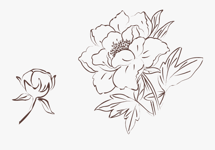 Drawing, Transparent Clipart