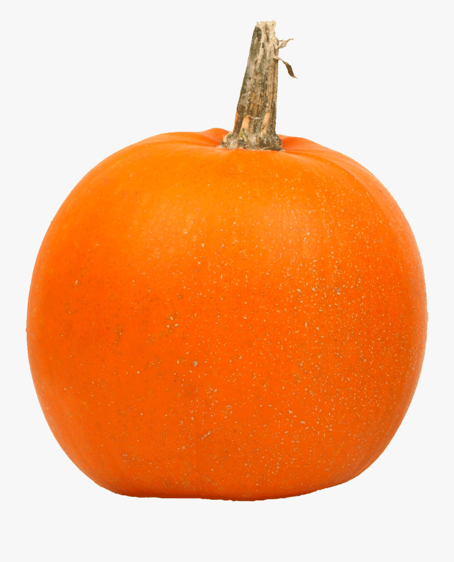 All Png Images Have A Transparent Background So They"re - Transparent Background Pumpkin Png, Transparent Clipart