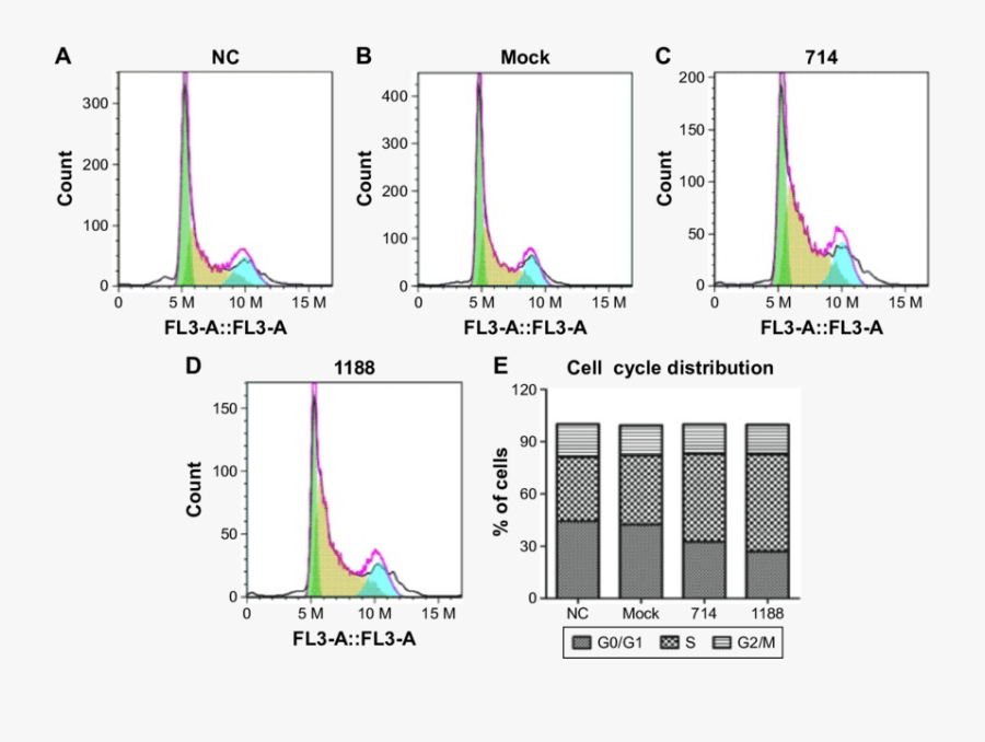 Effect Of Knockdown Wnt3 On The Cell Cycles Of Gastric - Window, Transparent Clipart
