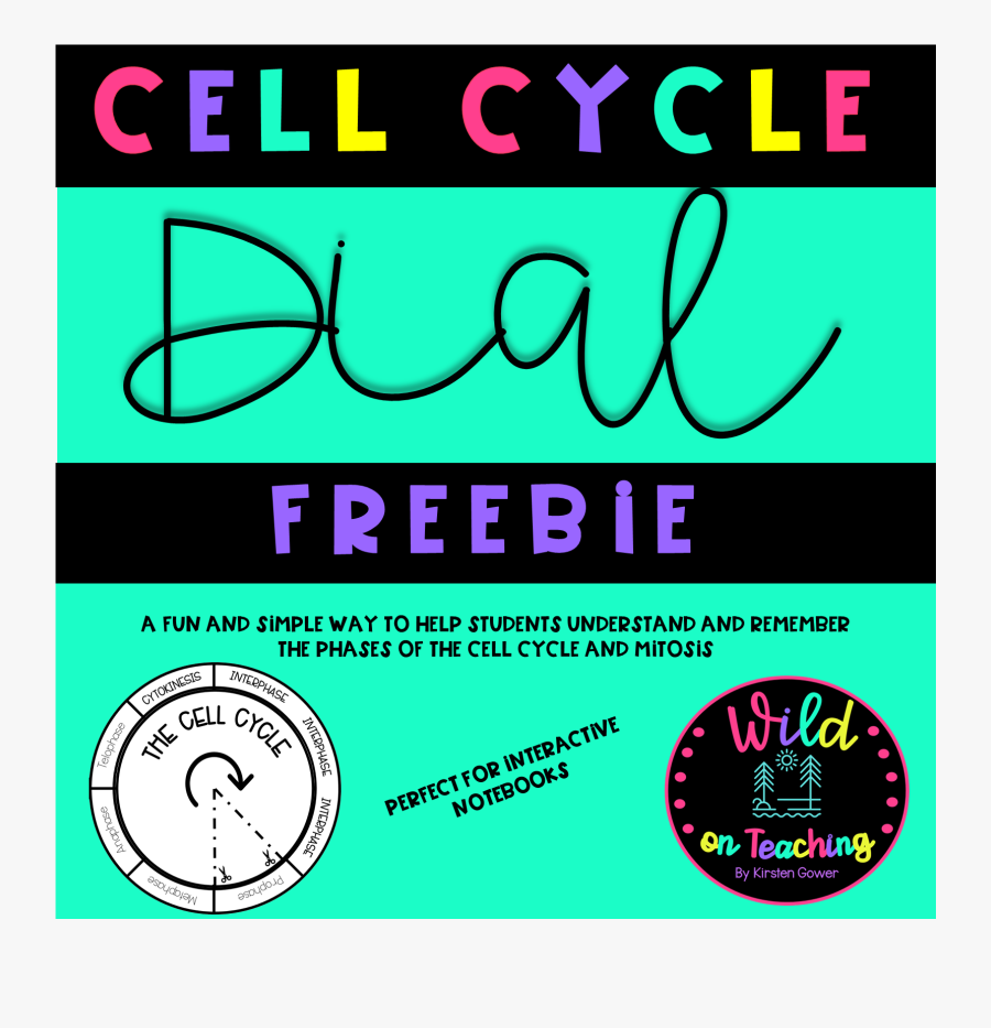 Graphic Design, Transparent Clipart