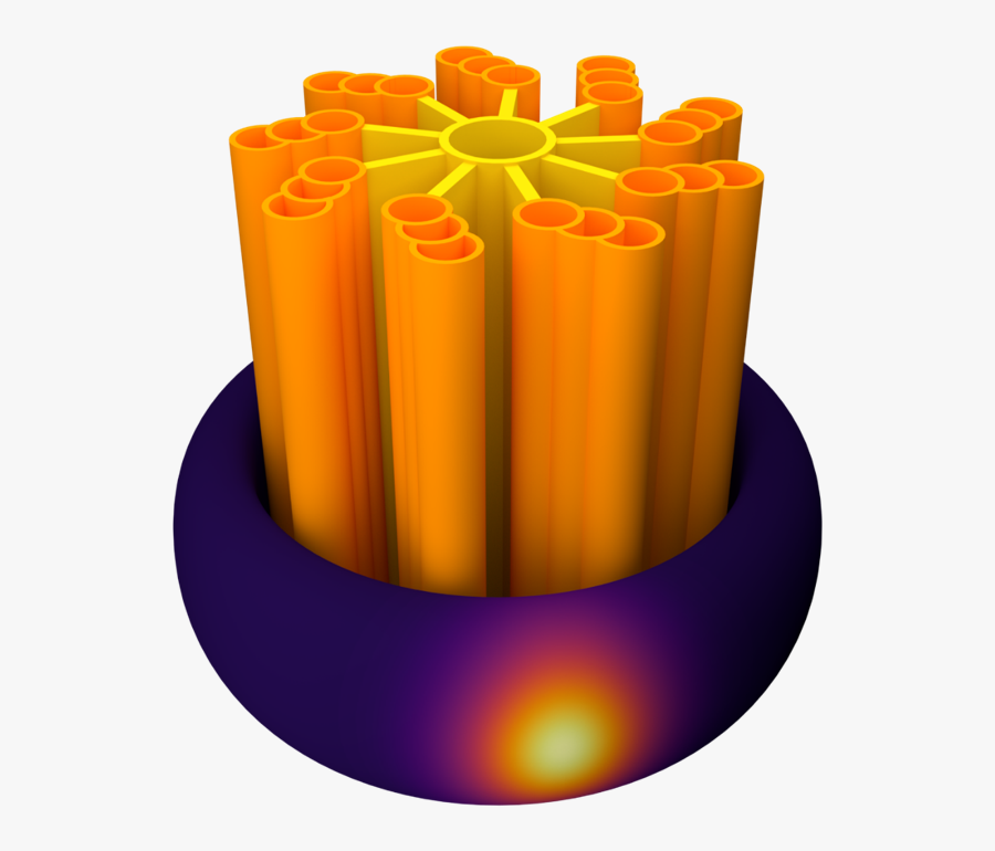 Cartoon Of A Procentriole, Transparent Clipart