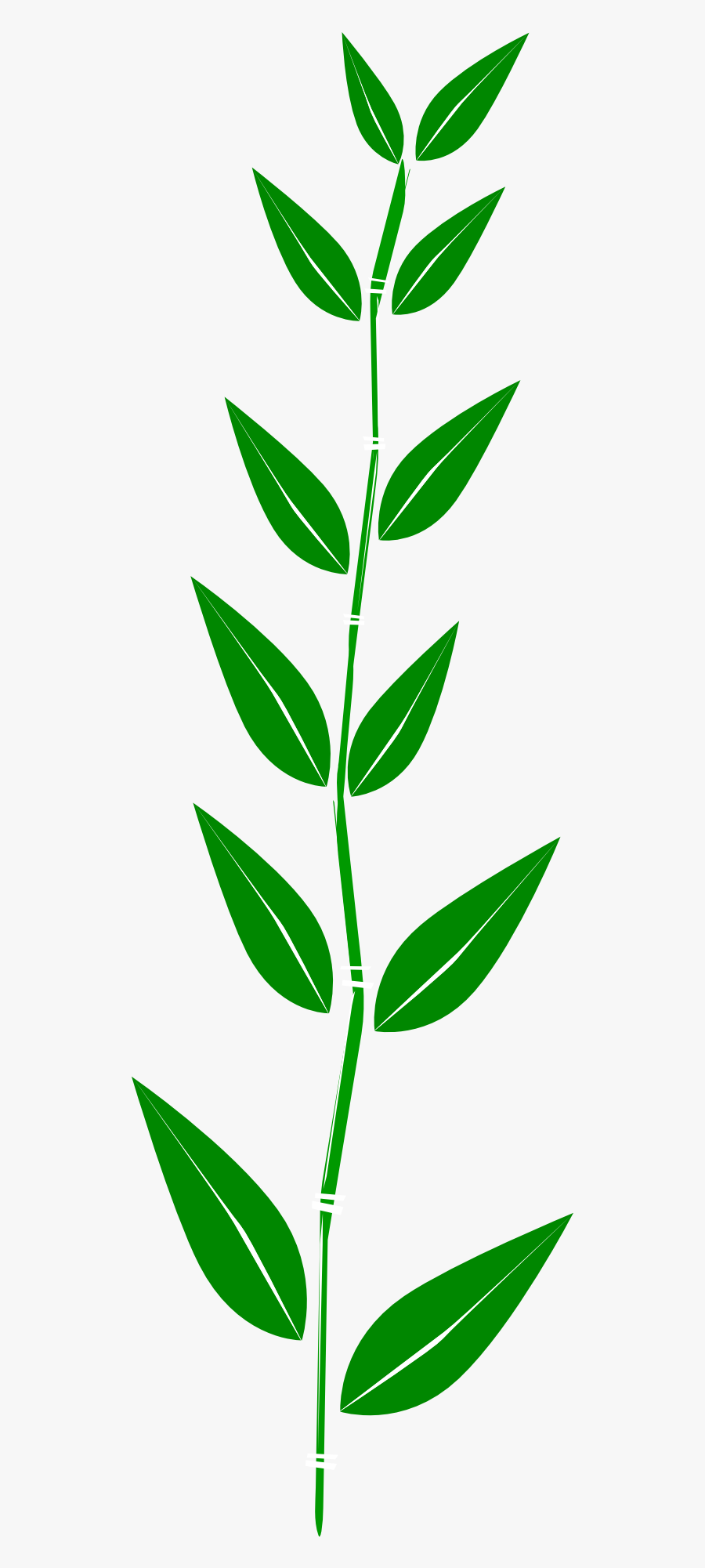 Line Of Leaves Clipart, Transparent Clipart