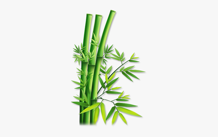 Green Bamboo Png Download - Bamboo Transparent, Transparent Clipart