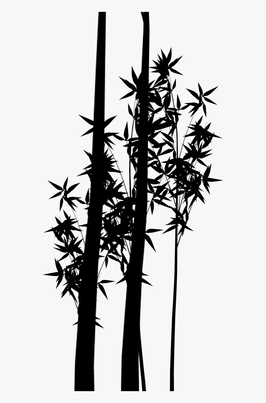 Transparent Bamboo Plants Png - Silueta De Plantas Png, Transparent Clipart
